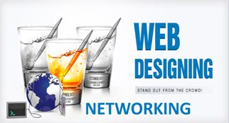 Web Designing and Networking